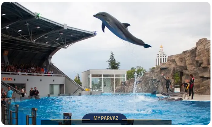 دلفیناریوم باتومی